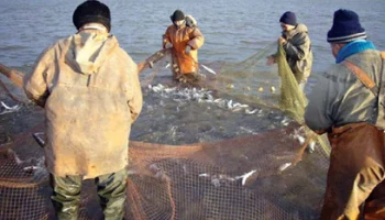 На Камчатке проработают возможность рыбалки на западном побережье для представителей КМНС, проживающих в столице края