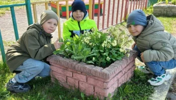 Растениеводство осваивают дошкольники Петропавловска-Камчатского