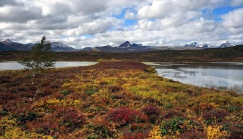 Каннибалы обосновались в озере ледникового происхождения на Камчатке