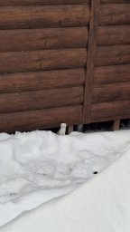 Гранты на создание блогов и настольных игр о дикой природе получат юные натуралисты Камчатки 2