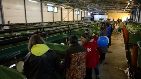 Экологический проект &laquo;Жизнь камчатскому лососю&raquo; набирает обороты в Камчатском крае 2