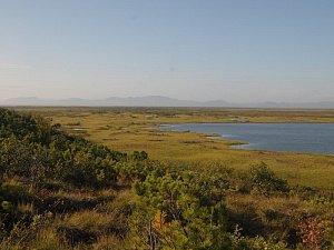 Всемирный день водно-болотных угодий отметили вчера в Камчатском крае 4