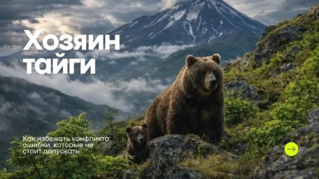 На форуме &laquo;Экосистема. Заповедный край&raquo; презентовали проект &laquo;Дикая Камчатка&raquo; 1
