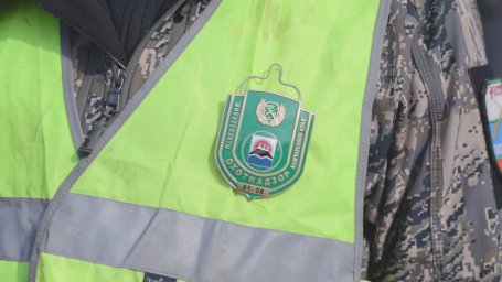 Действия экстренных служб при появлении медведя в населённых пунктах отработали на Камчатке 0