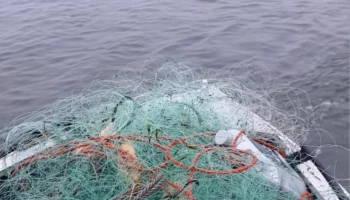 Житель Камчатки лишился лодки и попал под статью за незаконный лов красной рыбы