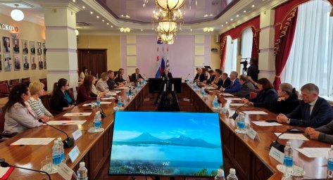 На заседании Архитектурно-градостроительного совета рассмотрели концепцию освещения Петропавловска-Камчатского 3