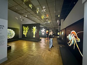 На «Золотой черепахе» в Москве были представлены красоты заповедной Камчатки 0