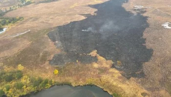 Ликвидирован лесной пожар в Елизовском районе