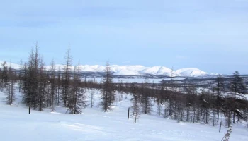 Женщина решила ночью прогуляться между двумя поселками на Севере Камчатки