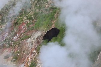 Месячник тишины стартует в Долине гейзеров на Камчатке 10