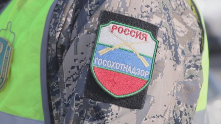 Действия экстренных служб при появлении медведя в населённых пунктах отработали на Камчатке 4