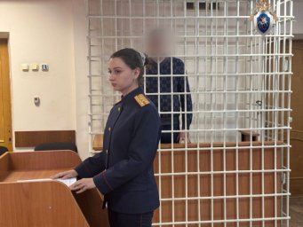 За получение крупной взятки от представителя экологической компании заключен по стражу эксперт на Камчатке 0