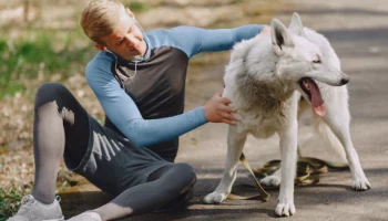 Господдержку для развития проекта в сфере туризма окажут ветерану на Камчатке