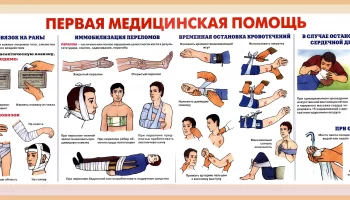 «Оценку безопасности» провели для молодежи Петропавловска-Камчатского