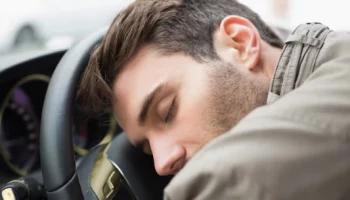 Неудачное место для отдыха выбрал житель Петропавловска-Камчатского