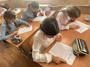 Четвероклассники краевого центра встретились с сотрудниками Кроноцкого заповедника на Камчатке 1