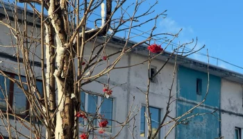 Экзамен для кандидатов в производственные охотинспекторы провел Госохотнадзор Камчатки