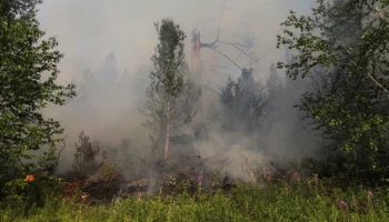 На Камчатке в районе гидрометеорологической станции Тигильского района повысился класс пожарной опасности