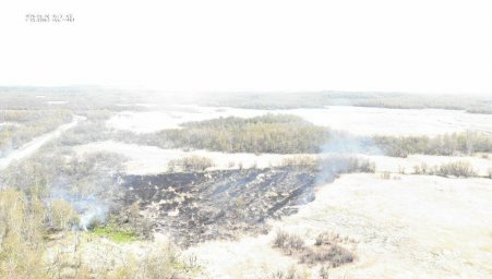 Лесные пожары ликвидированы на Камчатке 3