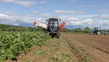 На Камчатке обсудили проблемы обеспечения профильными кадрами сельскохозяйственной отрасли в Мильковском районе