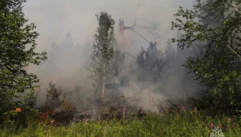 На Камчатке в нескольких населенных пунктах повысились классы пожарной опасности