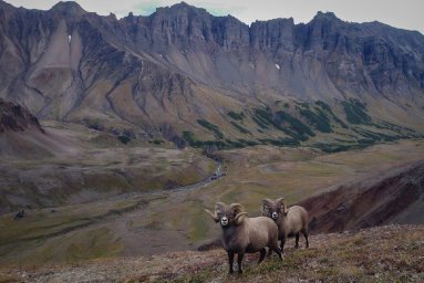 Сегодня отмечается Международный день гор, что особо значимо для Камчатки 7