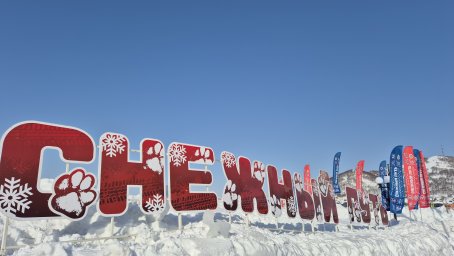 День защитника Отечества и городской фестиваль зимних видов спорта прошли в Петропавловске-Камчатском 23