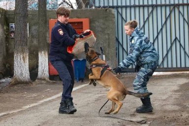 Школьники познакомились с историей становления милиции и полиции на Камчатке 6