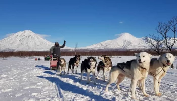 Гастрономический фестиваль «Амаркан» впервые пройдет на Камчатке