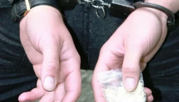 Банда наркодилеров из другого региона задержана на Камчатке