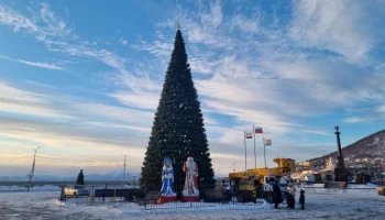 Место проведения новогоднего торжества вызвало вопросы у жителей столицы Камчатки