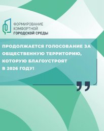 Голосование за выбор объекта благоустройства 2026 года стартовало в Петропавловске-Камчатском 0
