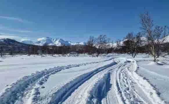 Следователи проверяют безопасность маршрута, по которому шла потерявшаяся группа на Камчатке