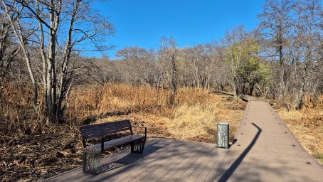 Имя для нового эко-парка выбирают жители Петропавловска-Камчатского 3