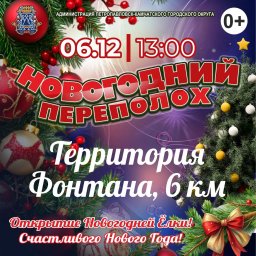 Открытие новогодних ёлок стартует с 1 декабря в Петропавловске-Камчатском 8