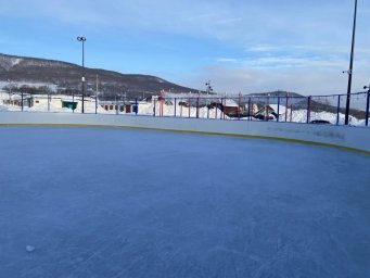 Вопросы по поводу парка &laquo;Простоквашино&raquo; в Елизове разъяснили в правительстве Камчатского края 1