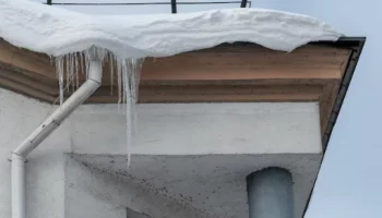 Мэр назвал халатность главной причиной гибели женщины на остановке в Петропавловске-Камчатском