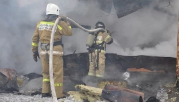 Камчатские спасатели вынесли из горящего курятника 22 курицы и одного индюка в Милькове