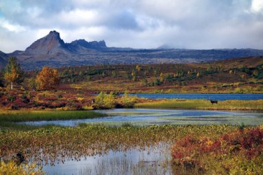 Каннибалы обосновались в озере ледникового происхождения на Камчатке 2