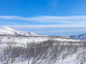 Олени задерживаются дольше обычного на горных пастбищах Камчатки 0