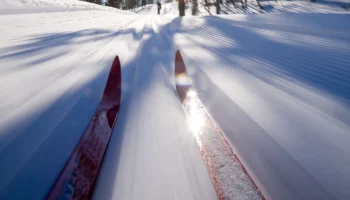 Апелляционную жалобу бывшего директора спортивной школы на горе Морозной отклонил суд на Камчатке