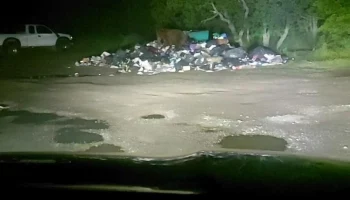 Отстрелен медведь, представлявший угрозу населению на Камчатке Отстрелен медведь, представлявший угрозу населению на Камчатке