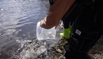 Экологический проект &laquo;Жизнь камчатскому лососю&raquo; набирает обороты в Камчатском крае