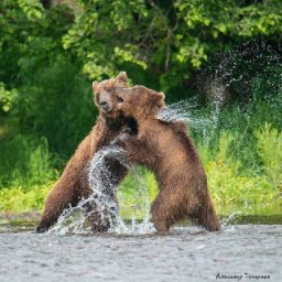 Ежегодная фотовыставка &laquo;Мгновения 2025&raquo; открылась в краевом художественном музее на Камчатке 2