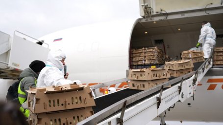 Вторую партию цыплят для фабрики «Пионерское» доставили на Камчатку 1