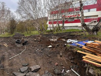 Начался первый этап благоустройства парка «Электрон» в столице Камчатки 3