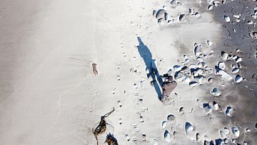 Применять искусственный интеллект при очистке побережий обучат волонтёров и сотрудников заповедных территорий на Камчатке 2