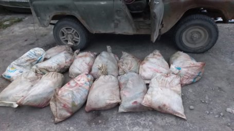 На Камчатке задержаны подозреваемые в незаконном вылове более 800 кг лосося 1