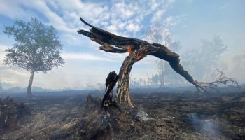 Особый противопожарный режим введён в селе Тигиль на Камчатке