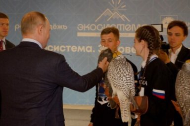Владимир Путин встретился с коллективом соколиного центра «Камчатка» 2